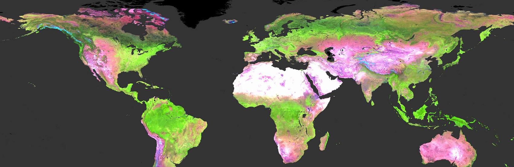 Globalyr2000-2013-small1l_0.jpg 