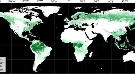 global_map