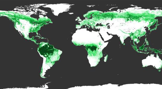 treecover