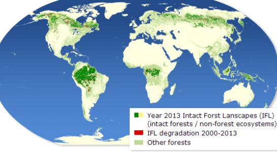 worldmap_small