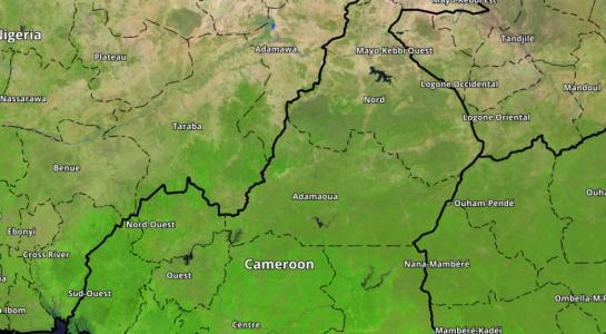 Cameroon