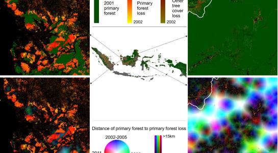 Indonesia_primary_1
