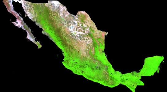 Mexico