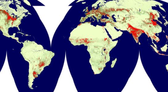 global_cropland